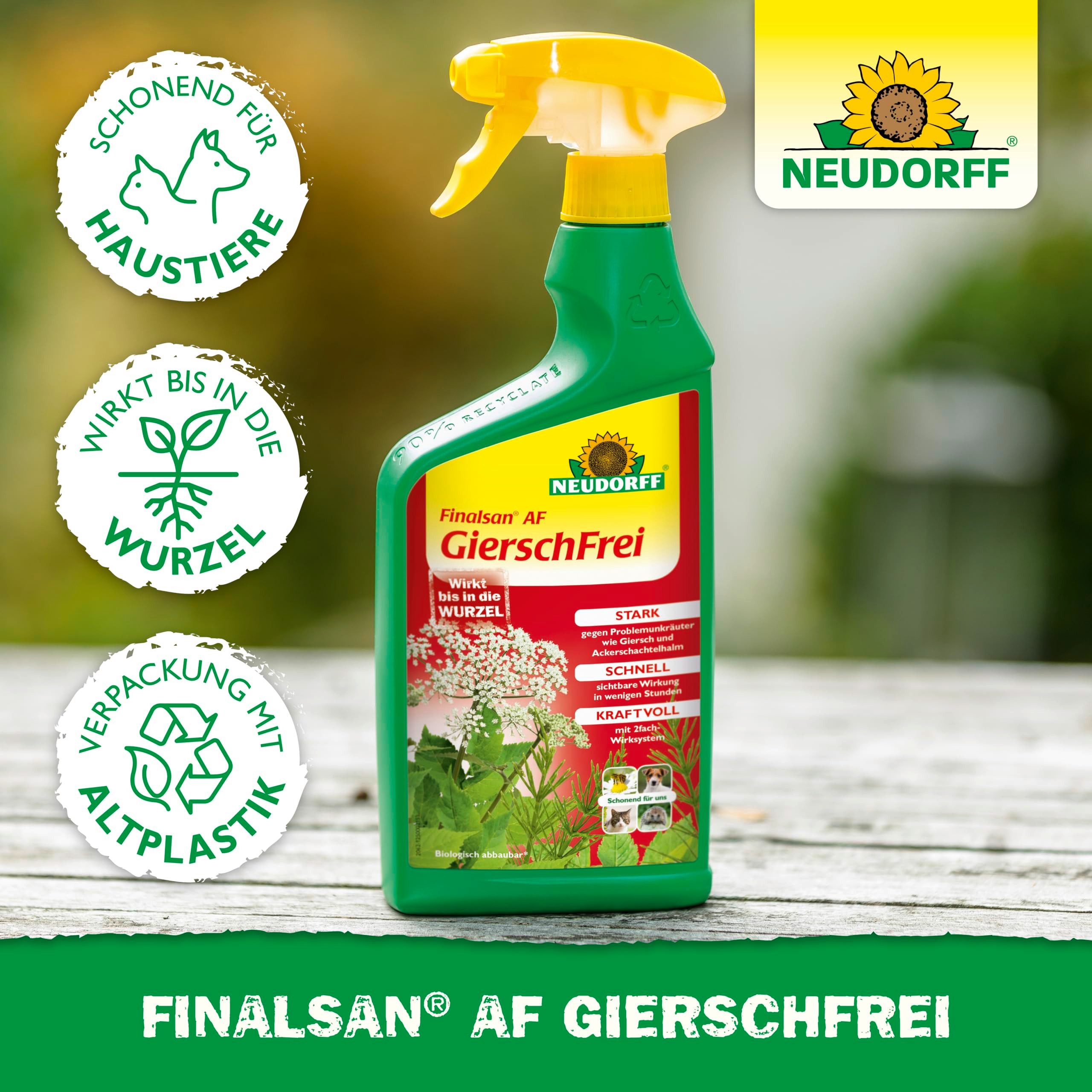 Neudorff Unkrautbekämpfungsmittel Finalsan AF GierschFrei 750 ml für 25 m², 750 ml, schonend für Haustiere, Unkraut entferner ohne Glyphosat, Schnell wirkend, gegen Giersch und Ackerschachtelhalm, Wirkt bis in die Wurzel und hält wochenlang an