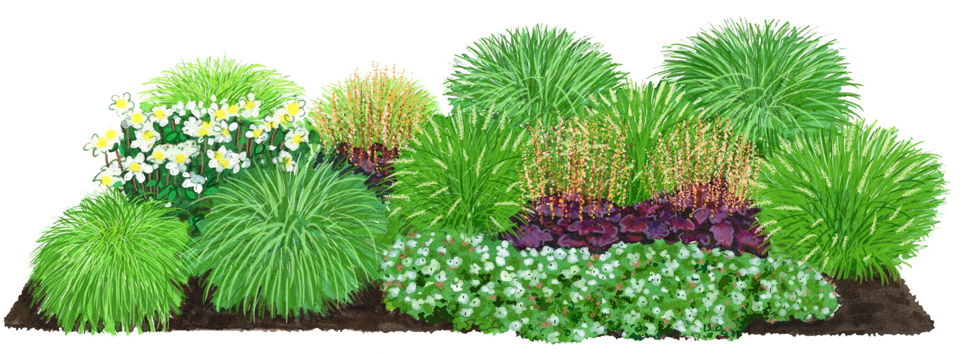 Dehner Staude Bio Stauden-Set Wintergrün, 18 mehrjährige Stauden, je 3-20 cm, Pflanzenset für (halb) schattige und insektenfreundliche Beetre