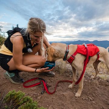 Ruffwear Hunde-Geschirr Hundegeschirr Switchbak Harness Red Sumac