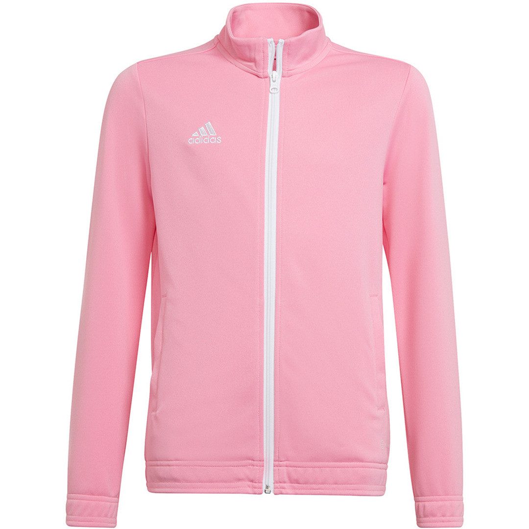 adidas Performance Sweatshirt Entrada 22