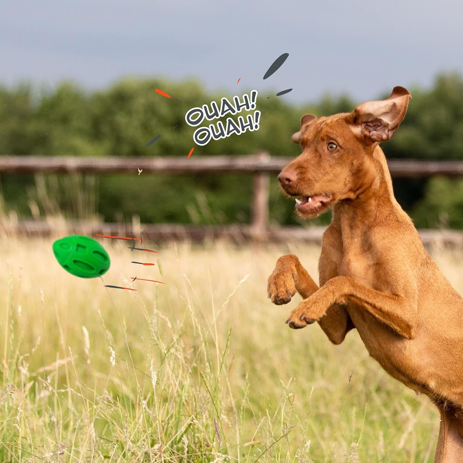 Thumbnail - Petsation Kauspielzeug Hundespielzeug zum Werfen [PREMIUM] NATURKautschuk - Kauspielzeug