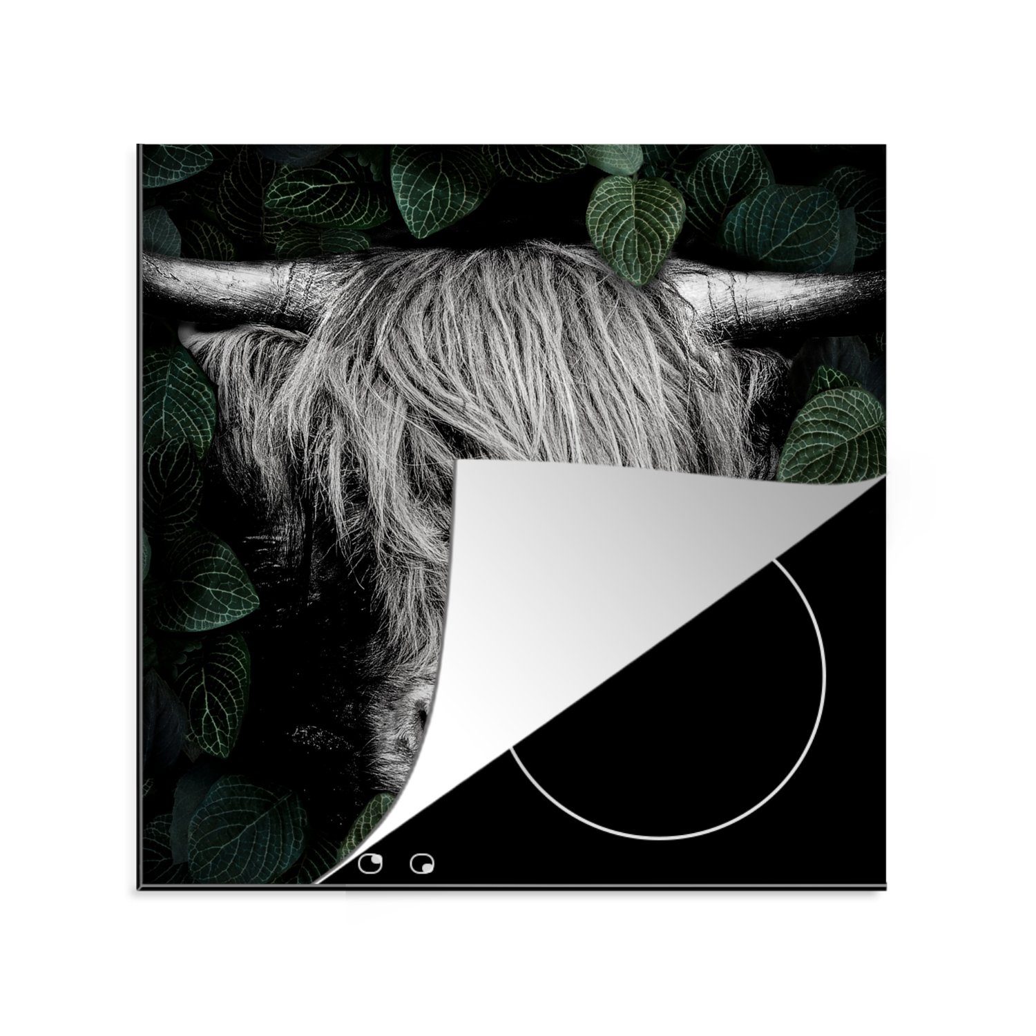 Blätter Vinyl, Highlander Weiß, cm, (1 für MuchoWow Herdblende-/Abdeckplatte - 78x78 tlg), - Schwarz küche - Scottish Arbeitsplatte Ceranfeldabdeckung,