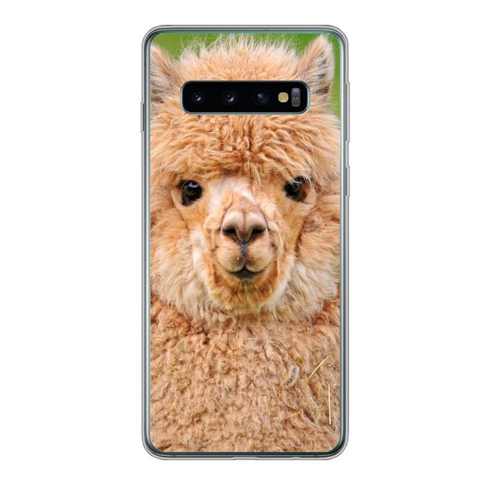 MuchoWow Handyhülle Alpaka - Wolle - Braun Phone Case Handyhülle Samsung Galaxy S10 Silikon Schutzhülle