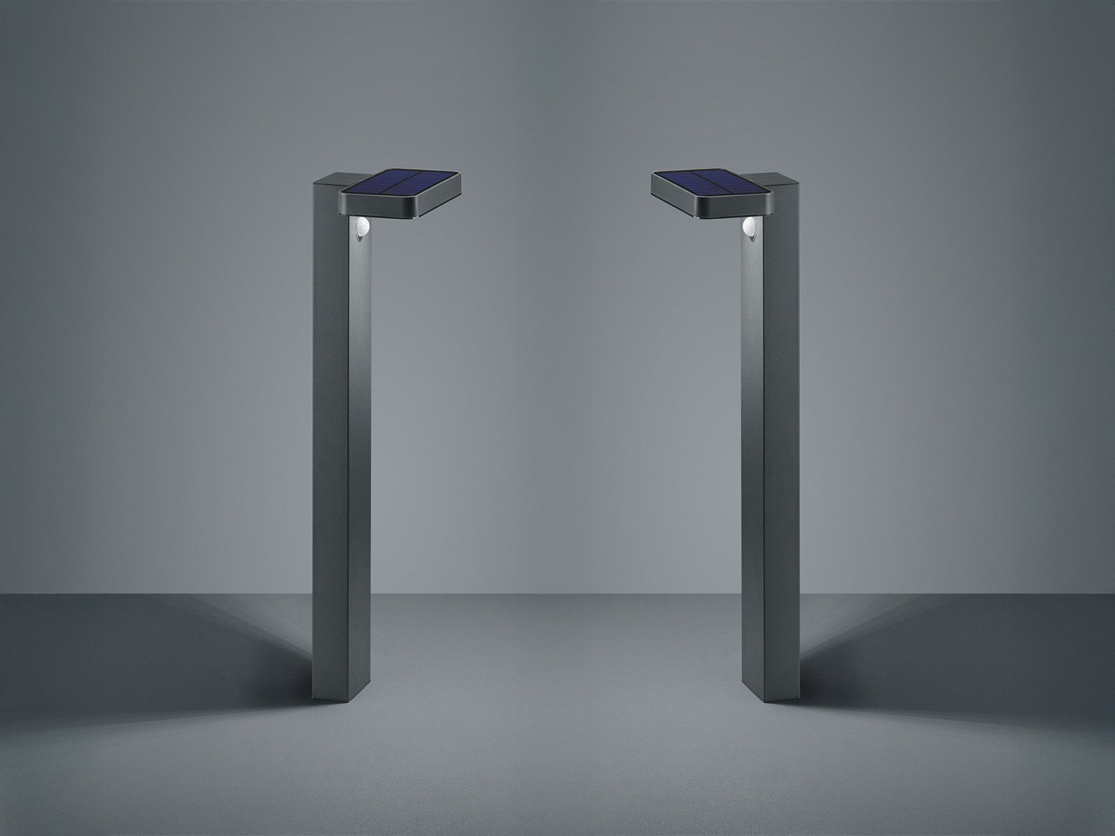 Reality Leuchten LED Solarleuchte, Bewegungsmelder, LED fest integriert, Warmweiß, 2er-Set Solar-licht Wegeleuchten mit Bewegungsmelder Garten beleuchten