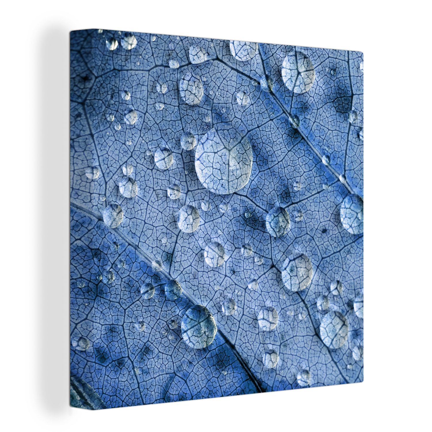 OneMillionCanvasses® Leinwandbild Tropfen auf einem blauen Blatt, (1 St), Leinwand Bilder für Wohnzimmer Schlafzimmer