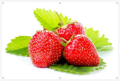 Wallario Sichtschutzzaunmatten »Frische rote Erdbeeren für die Küche«