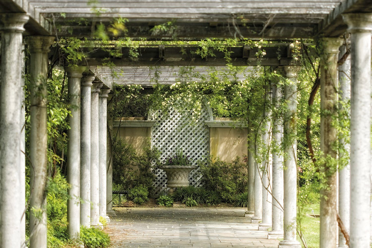 Fototapete Walkway in Garden