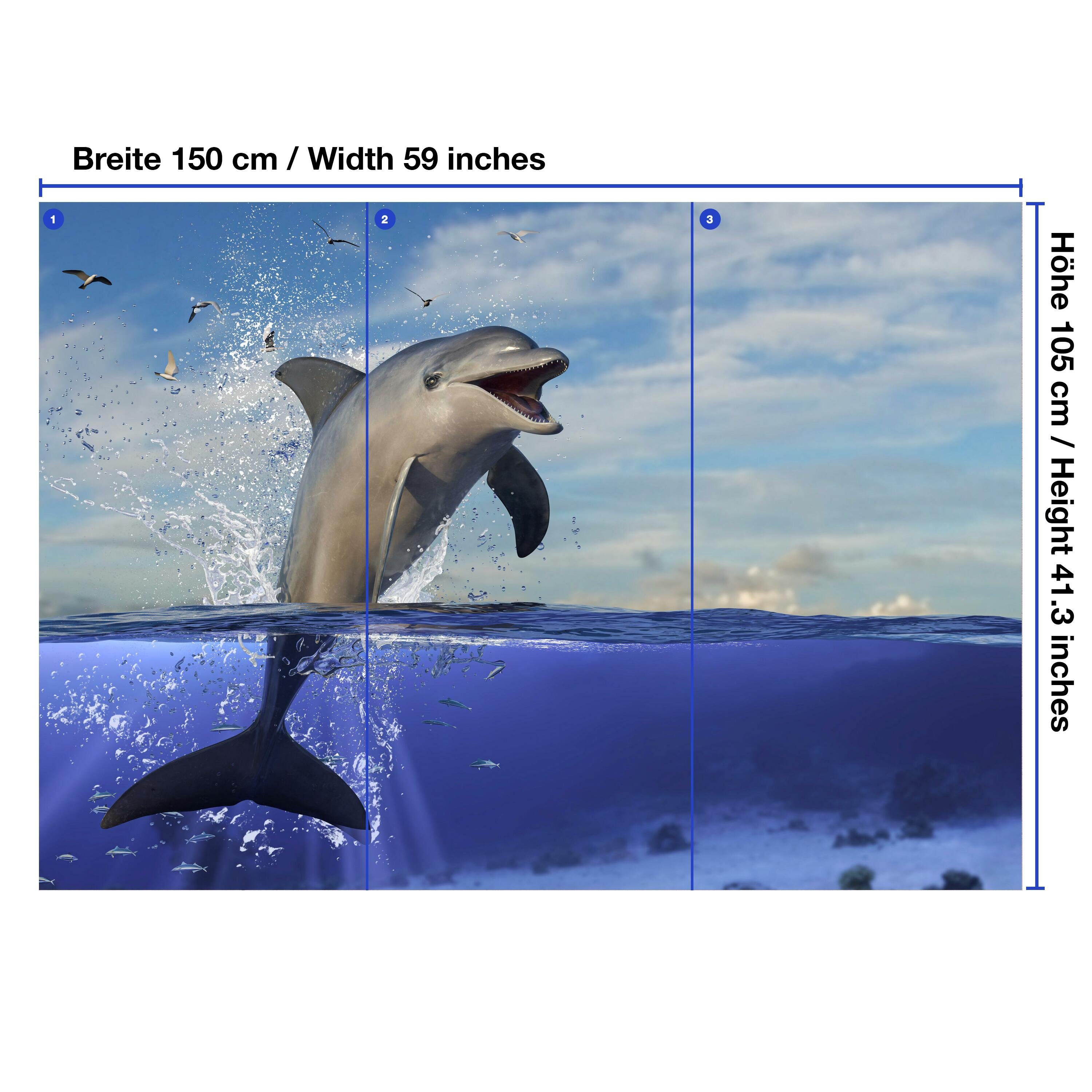Delfin Fototapete wandmotiv24 Wasser, matt, glatt, Motivtapete, Vliestapete Wandtapete, springender