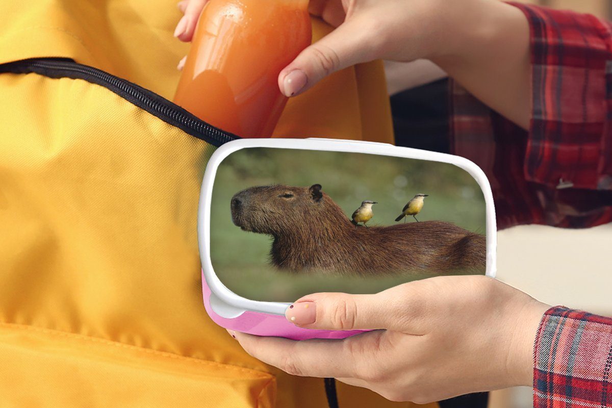 für MuchoWow Kunststoff, Kunststoff auf Capybara, Erwachsene, Kinder, Brotdose Lunchbox (2-tlg), Vögel Mädchen, einem Snackbox, rosa Zwei Brotbox sitzen