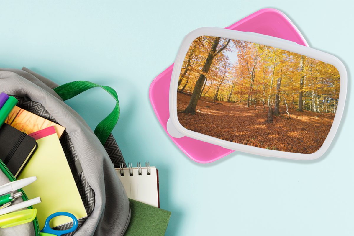MuchoWow Lunchbox Gelb im Snackbox, Brotbox für (2-tlg), Schweden, Kunststoff Söderåsen-Nationalpark rosa Erwachsene, Brotdose Kunststoff, in Mädchen, gefärbter Buchenwald Kinder