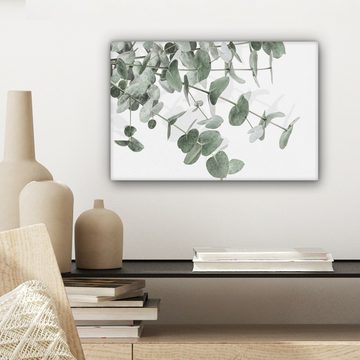 OneMillionCanvasses® Leinwandbild Eukalyptus - Blätter - Natur - Grün, Grun, Weiß (1 St), Leinwand Bilder Klein, Wand Dekoration 30x20 cm