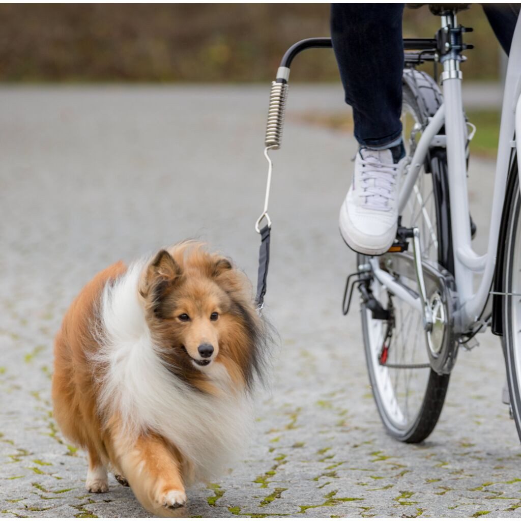 TRIXIE Fahrradhundeanhänger Biker-Set Fahrradhalterung für Hunde mit Abstandshalter und Federung -