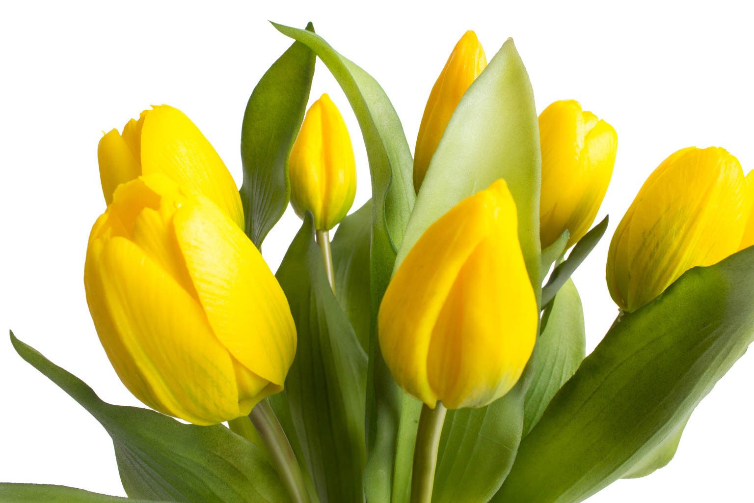 Kunstblume Willa Tulpe, Botanic-Haus, Höhe 32 cm, Tulpenbündel im 7er-Set