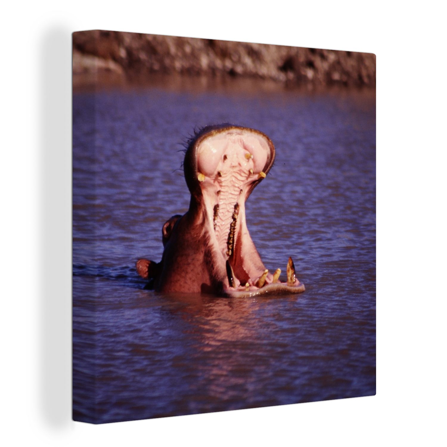 OneMillionCanvasses® Leinwandbild Nilpferd - Wasser - Schnabel, (1 St), Leinwand Bilder für Wohnzimmer Schlafzimmer