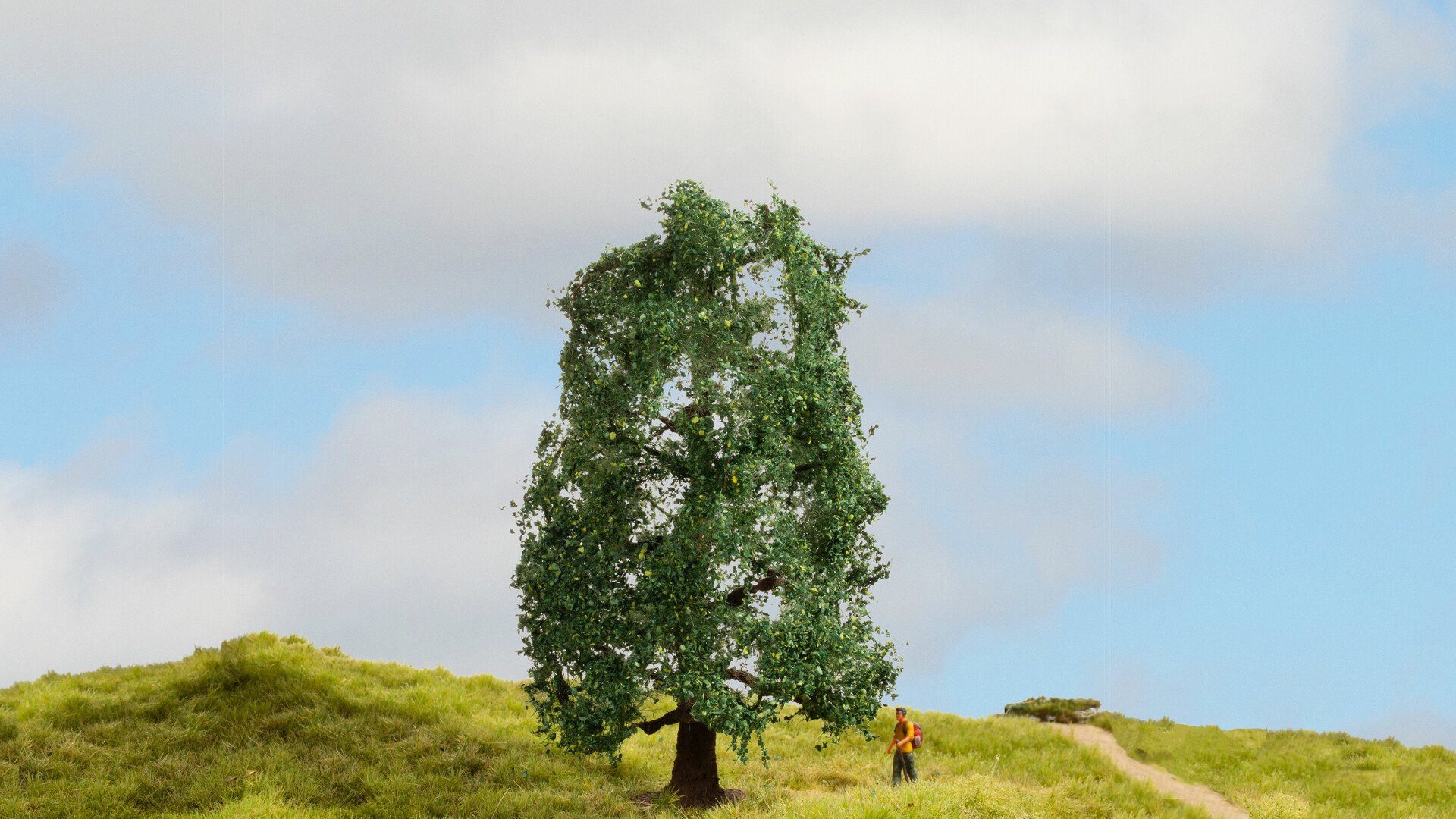 Dekobaum NOCH® Eiche, Modellbau Baum, handkoloriert, 15 cm