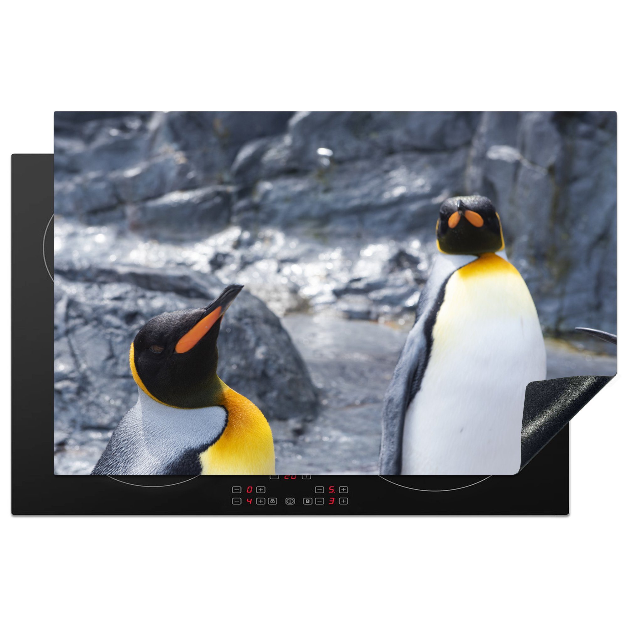 MuchoWow Herdblende-/Abdeckplatte Zwei Pinguine in einem felsigen Gebiet, Vinyl, (1 tlg), 81x52 cm, Induktionskochfeld Schutz für die küche, Ceranfeldabdeckung