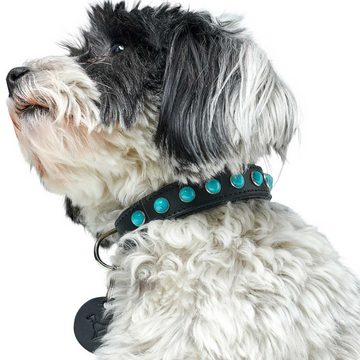 Hunter Tierbedarf Hunde-Halsband Modica