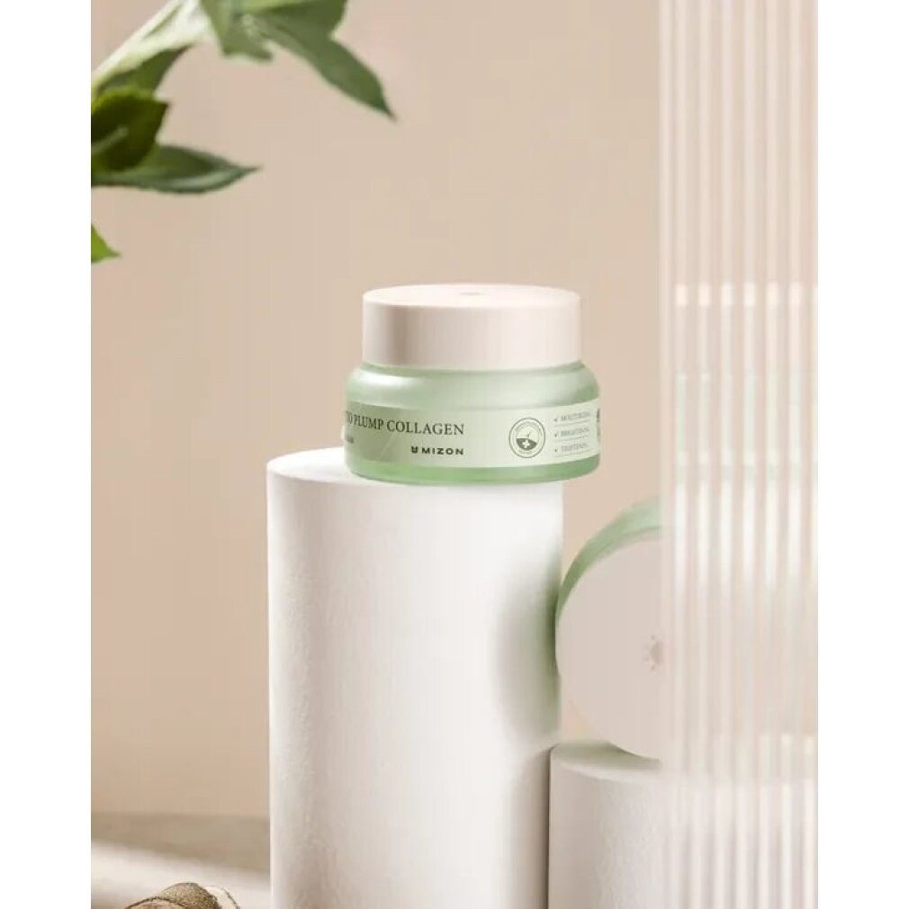 Mizon Tagescreme Phyto Plump Collagen Day Cream 50ml
