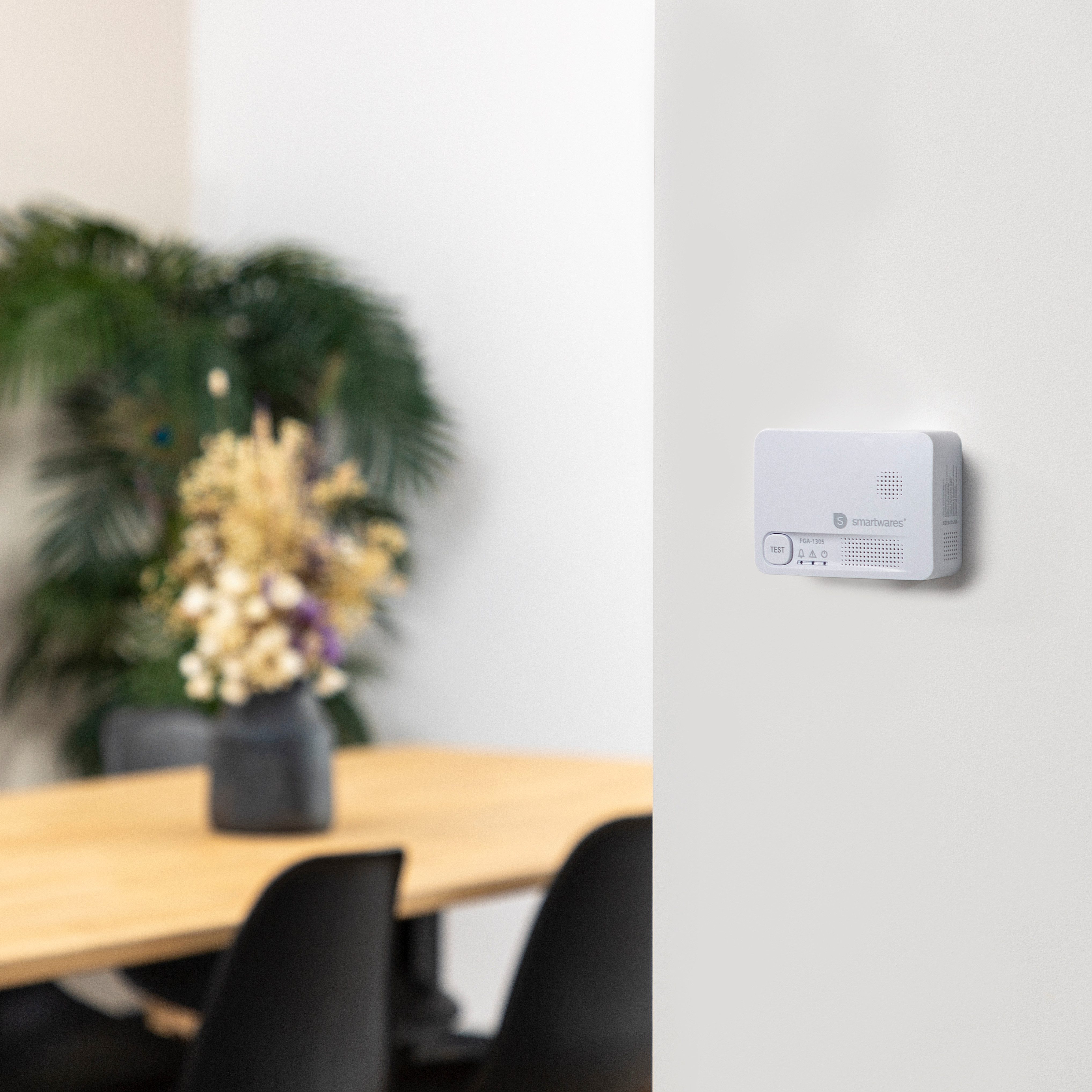 Smartwares Europe FGA-13051 CO-Melder (85 dB)
