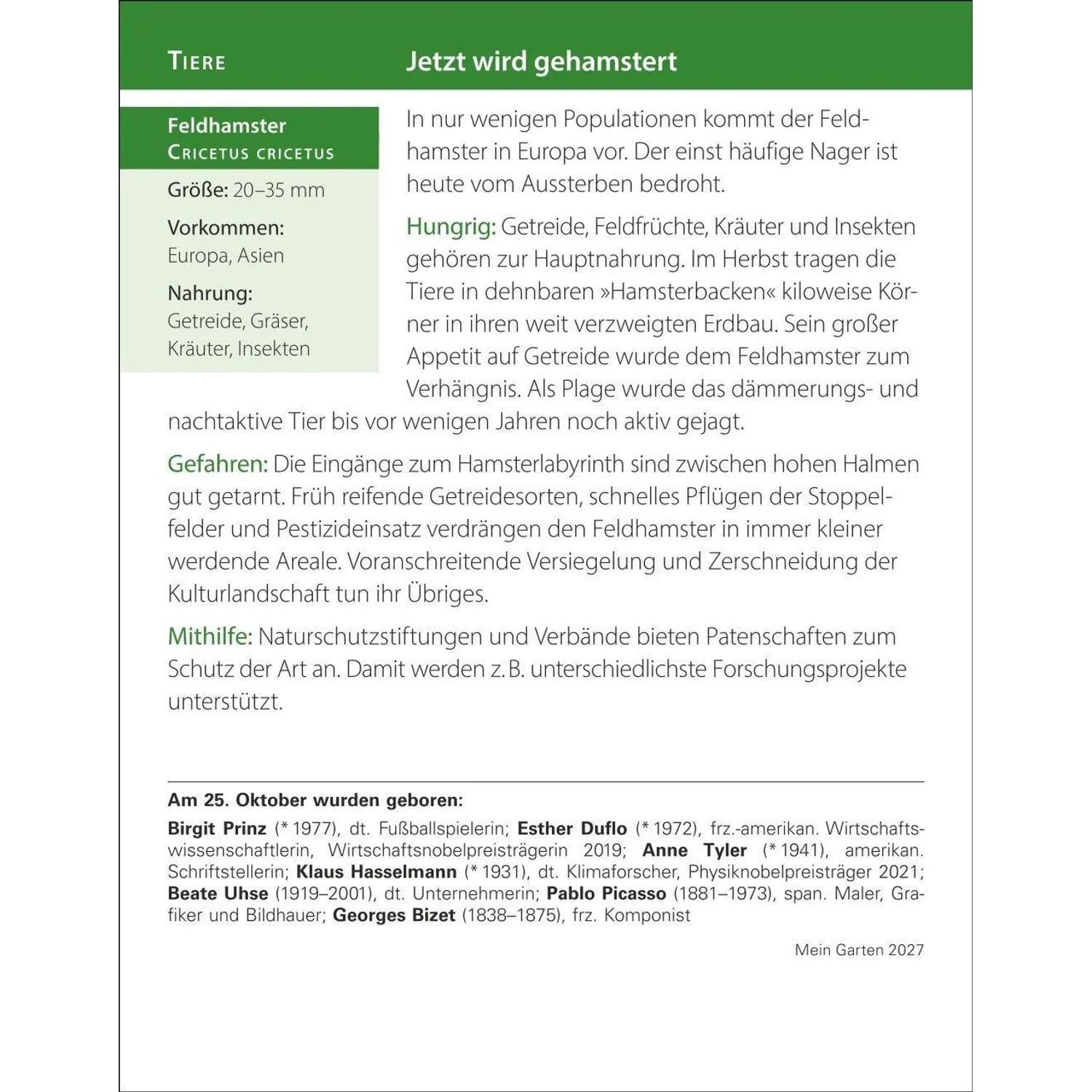 Harenberg Kalender Verlag Abreißkalender Mein Garten Tagesabreißkalender 2027 - Praktische Tipps für 2027