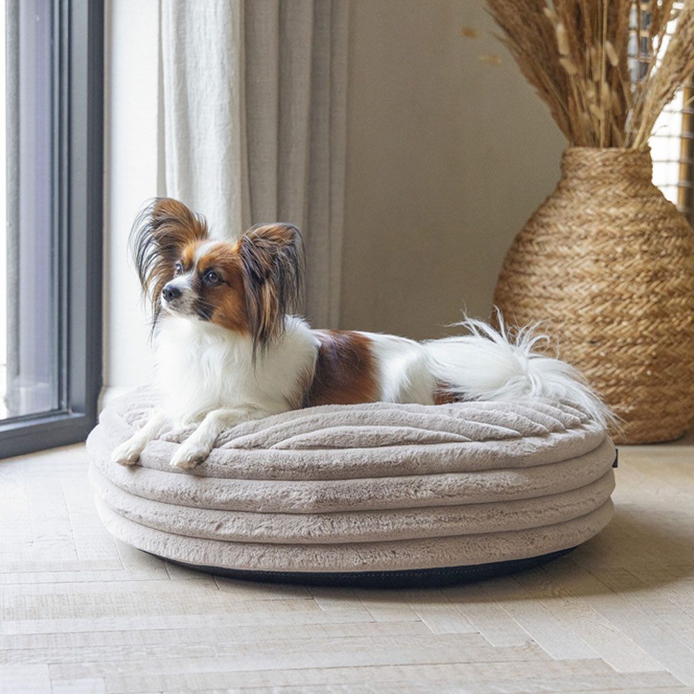 Karlie Tierbett Designed by Lotte Hundebett Reza - rund, beige Größe: 65 x 16 cm