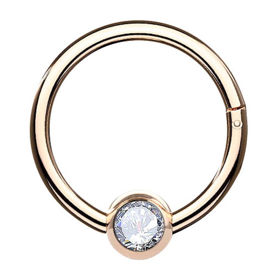 Nasenpiercing Septum Segment Ring Piercing Clicker Scharnier Kristall Kugel Perle