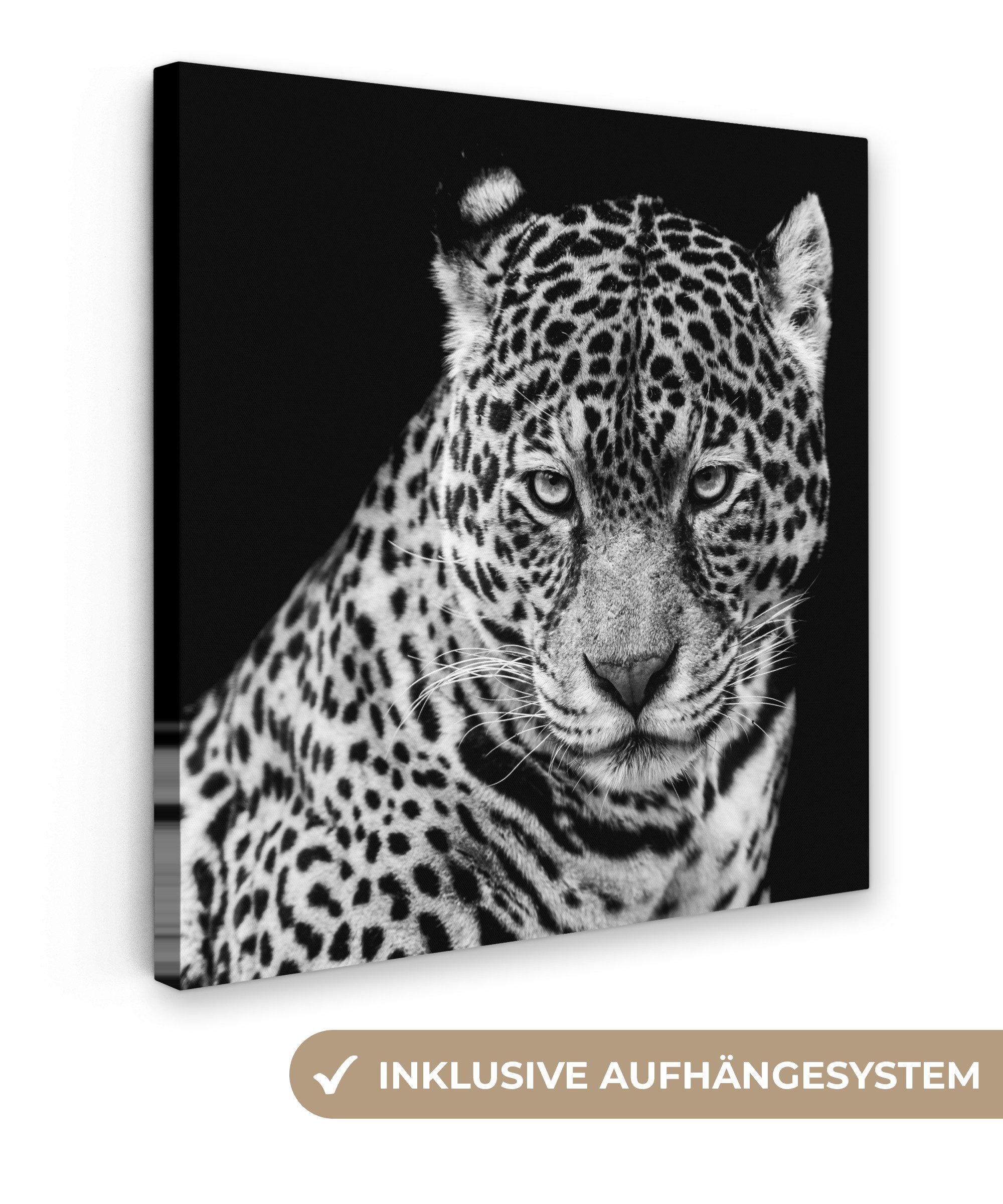 OneMillionCanvasses® Leinwandbild Leopard - Tiere - günstig online kaufen
