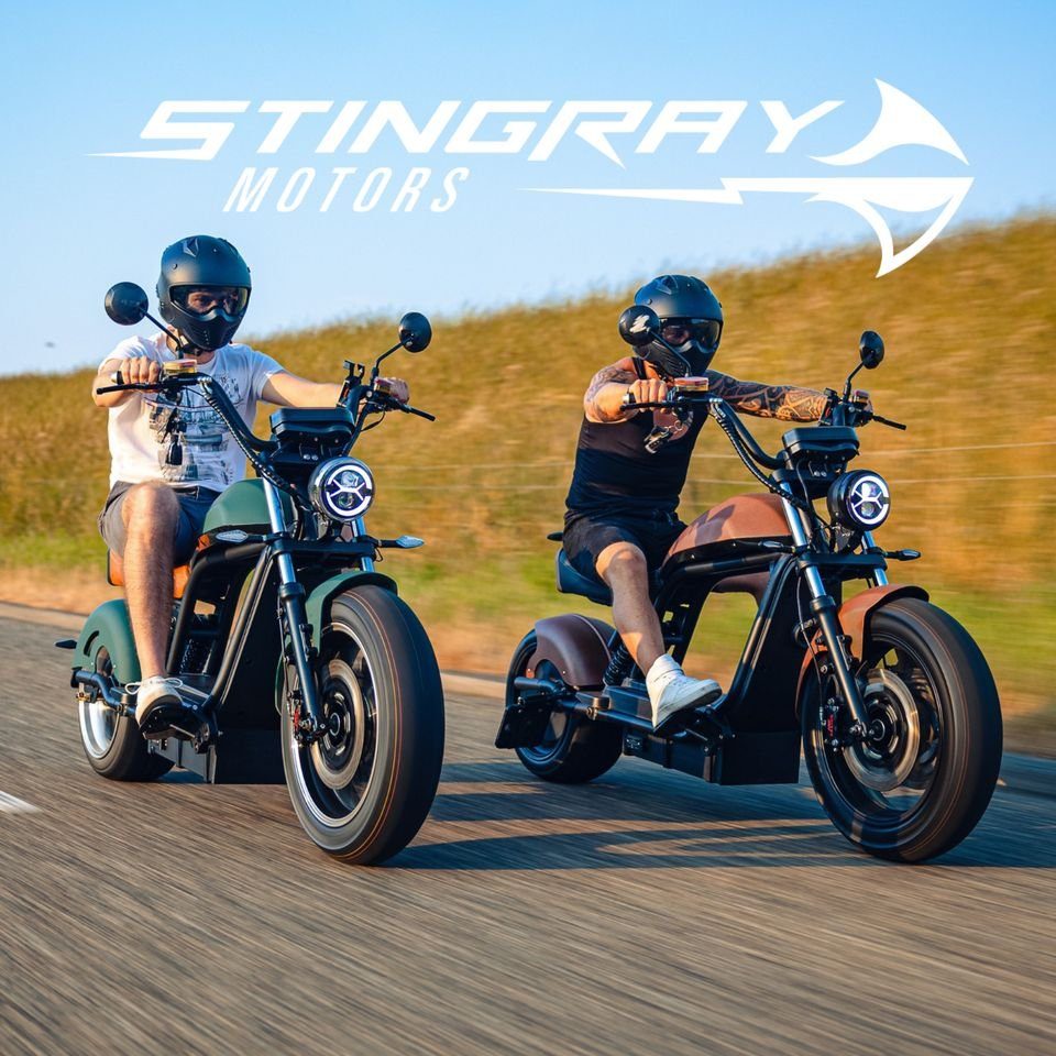 Stingray Motors E-Motorroller - 50 Stingray - 3800,00 Akku Cruiser E-Chopper / s, / km/h, Alarmanlage Diebstahlschutz Elektroroller W, 6.0 HL 57Ah