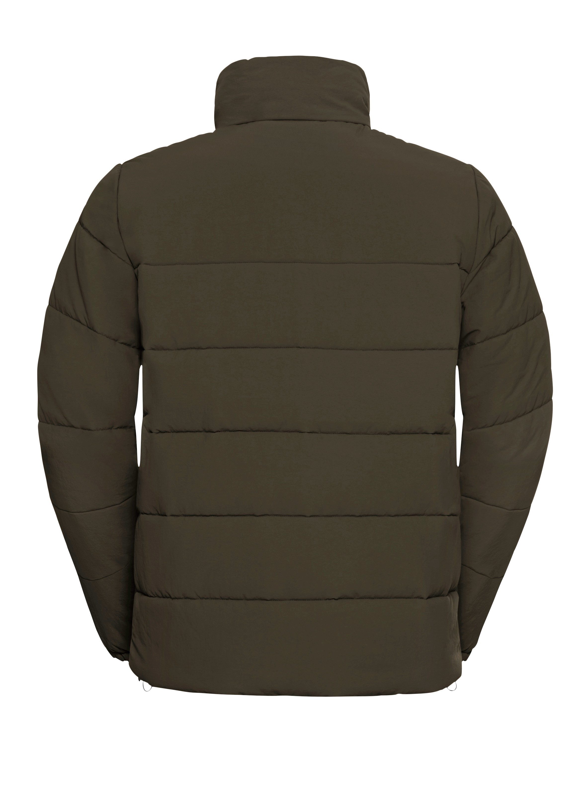 Jack Wolfskin Winterjacke NORTHERN LITE JKT M mit mehreren Eingrifftaschen und Innentasche, schnell trocknend