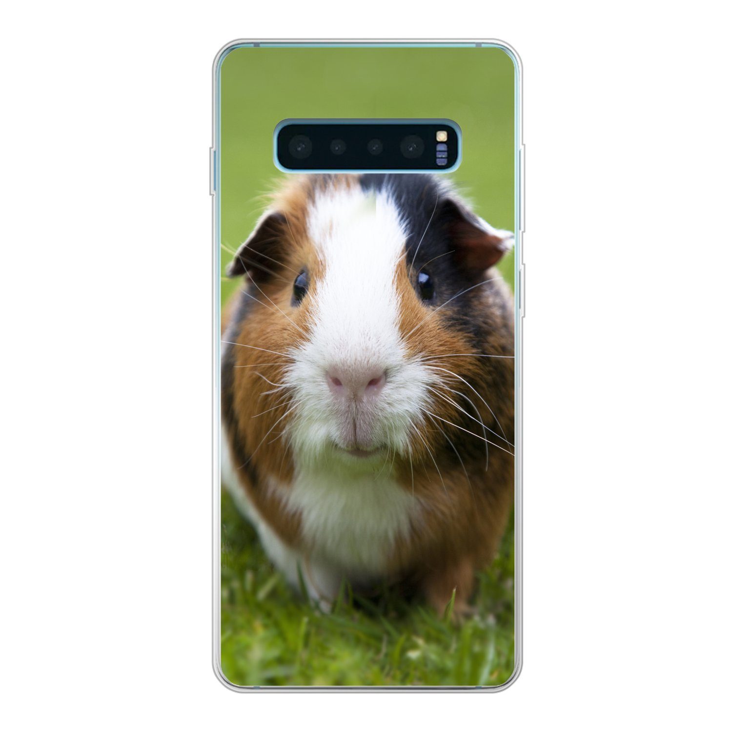 MuchoWow Handyhülle für Samsung Galaxy S10 Plus Zwei Meerschweinchen, Phone Case, Silikon, Schutzhülle Dünn