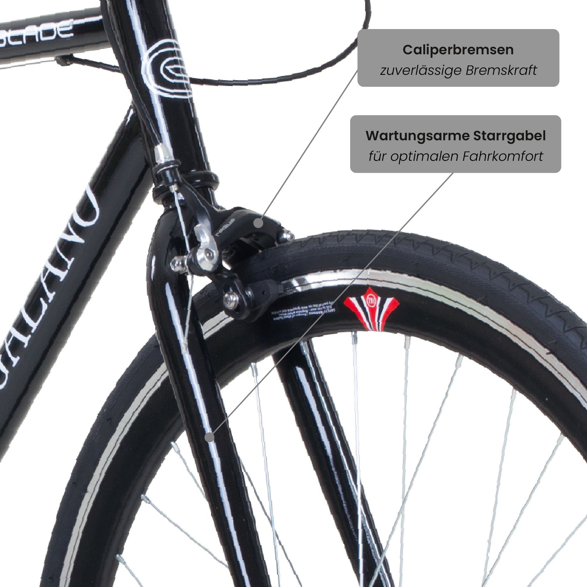 Galano Singlespeed Blade, 1 Gang, ohne Schaltung, Fixie Fahrrad Singlespeed Damen Herren 165 - 195 cm retro Urban Bike