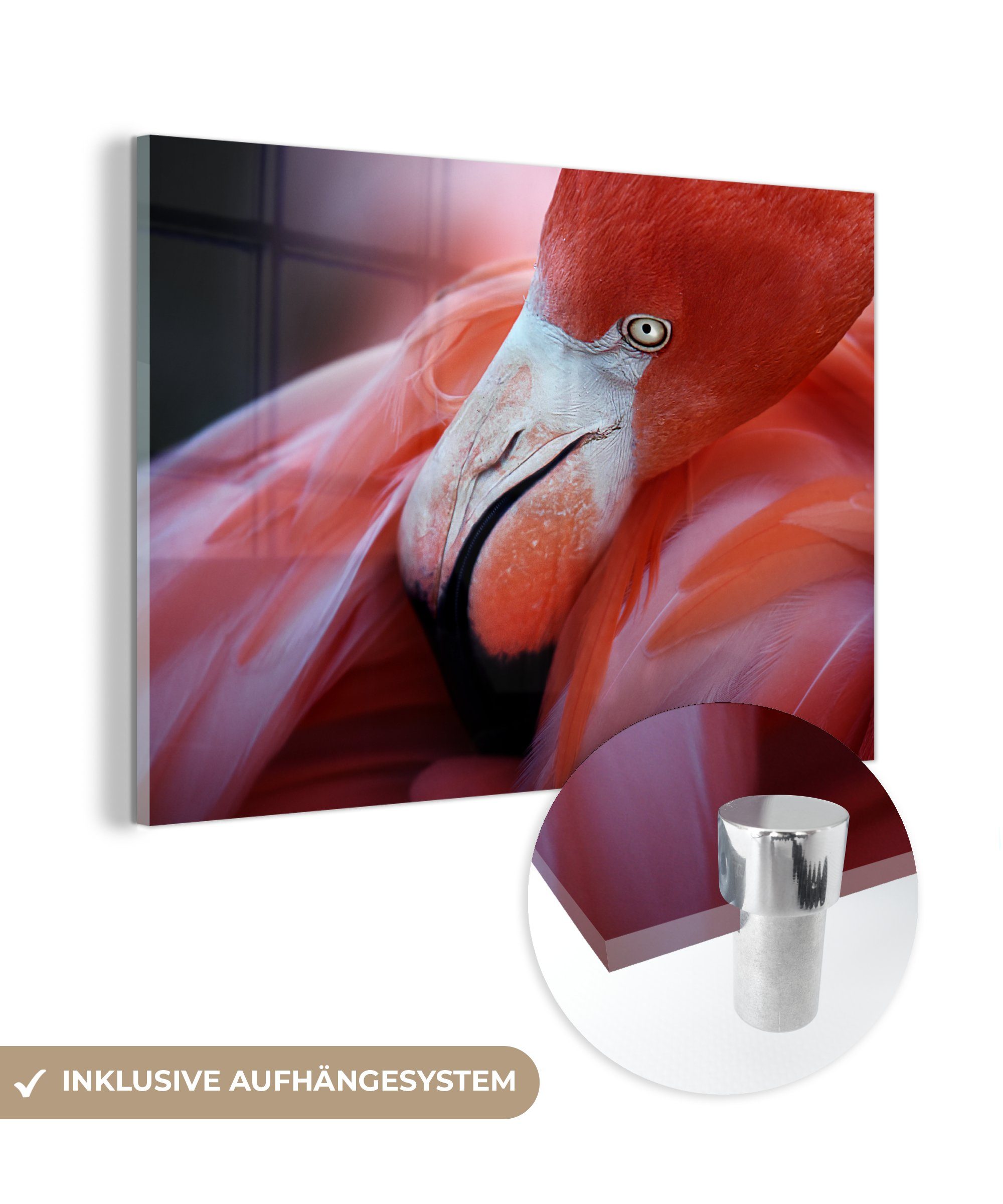 MuchoWow Acrylglasbild Nahaufnahme eines Flamingos, (1 St), Acrylglasbilder Wohnzimmer & Schlafzimmer