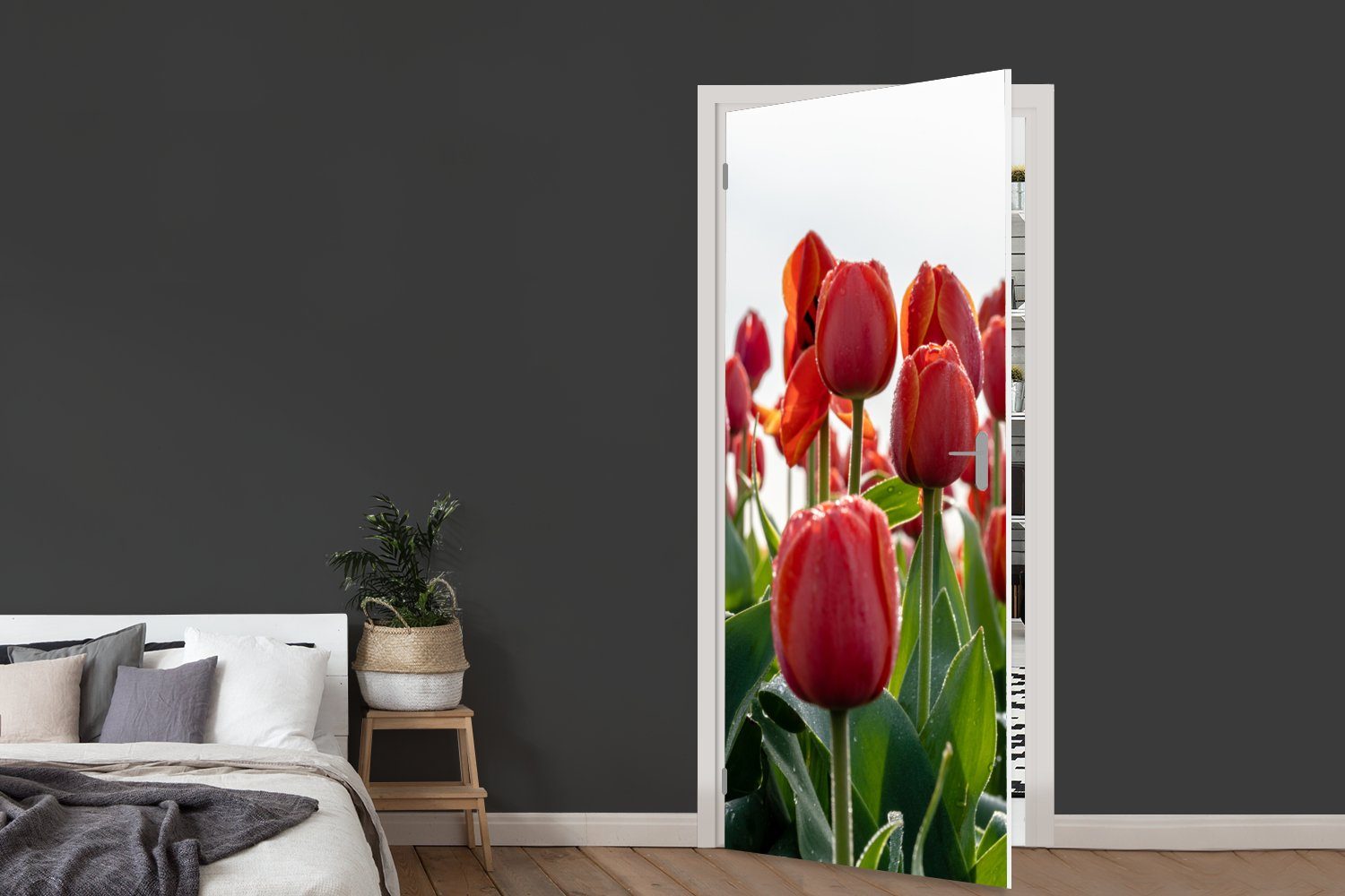 MuchoWow Gebiet Tür, Türaufkleber, Fototapete Türtapete mit in cm für bedruckt, St), 75x205 Niederlanden, den Tulpen roten Matt, Ein (1