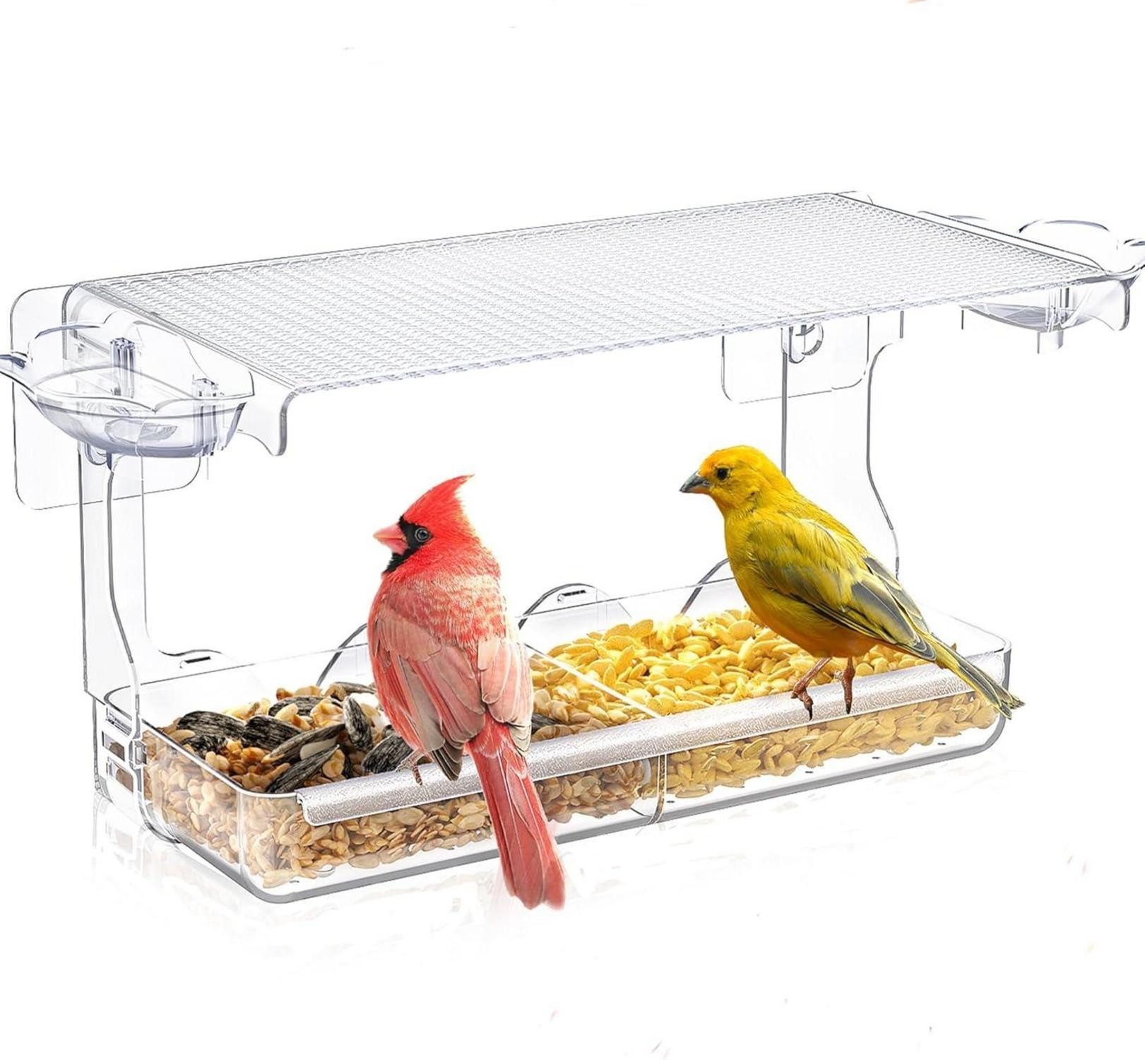 LuxusKollektion Vogelhaus Großes Vogelhaus für Vögel mit Vogeltränke 24.5x10x14cm Transparent