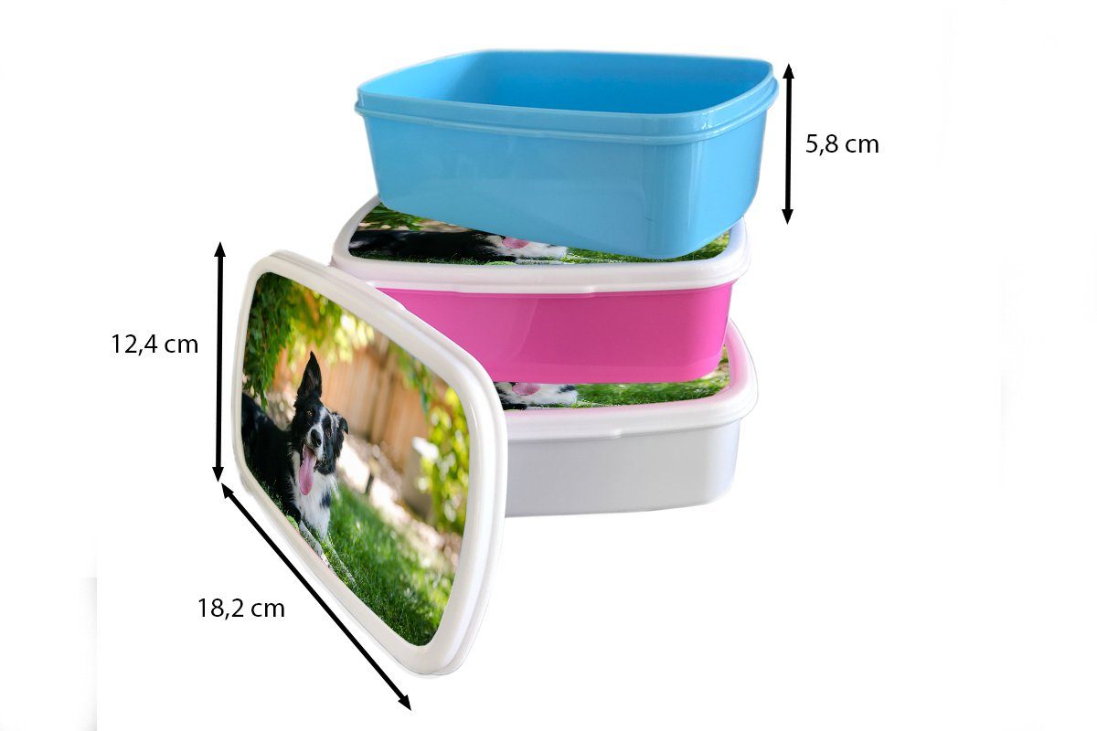 Kunststoff Lunchbox für rosa (2-tlg), Brotbox Hund Brotdose - Snackbox, Mädchen, - Gras Kunststoff, Erwachsene, Kinder, Tiere, MuchoWow