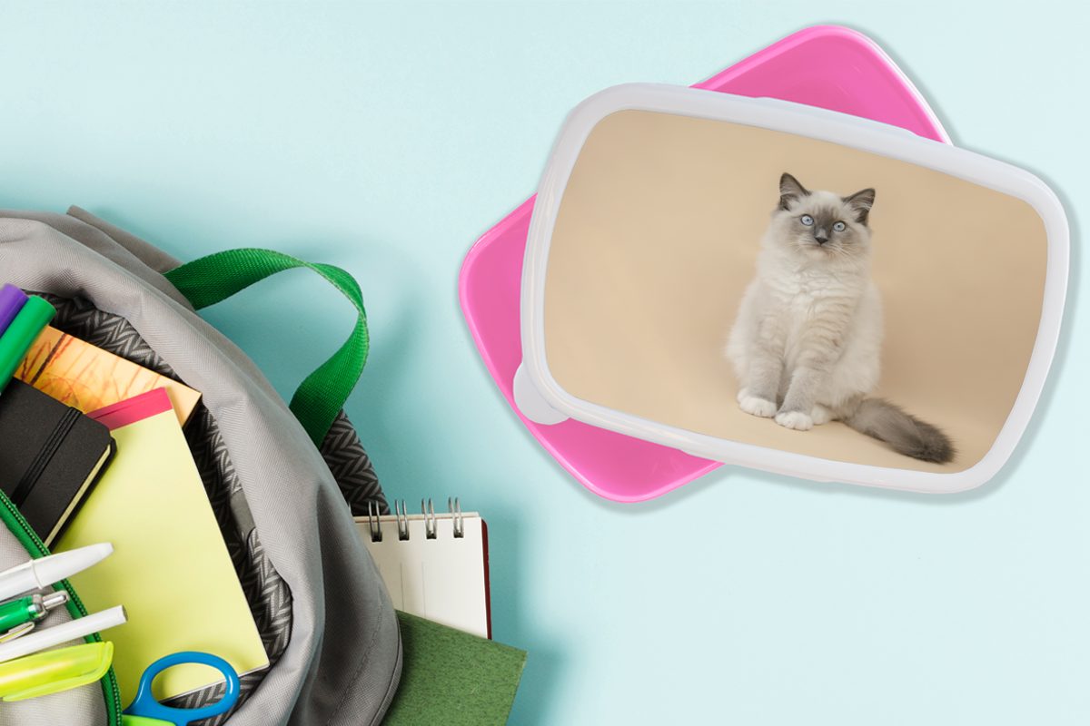 MuchoWow Lunchbox Katze - Kinder, Kunststoff, Mädchen, rosa Mädchen Kinder, Porträt Jungen Snackbox, - - Brotbox für (2-tlg), Kinder - Siamese Kunststoff Erwachsene, Brotdose - 