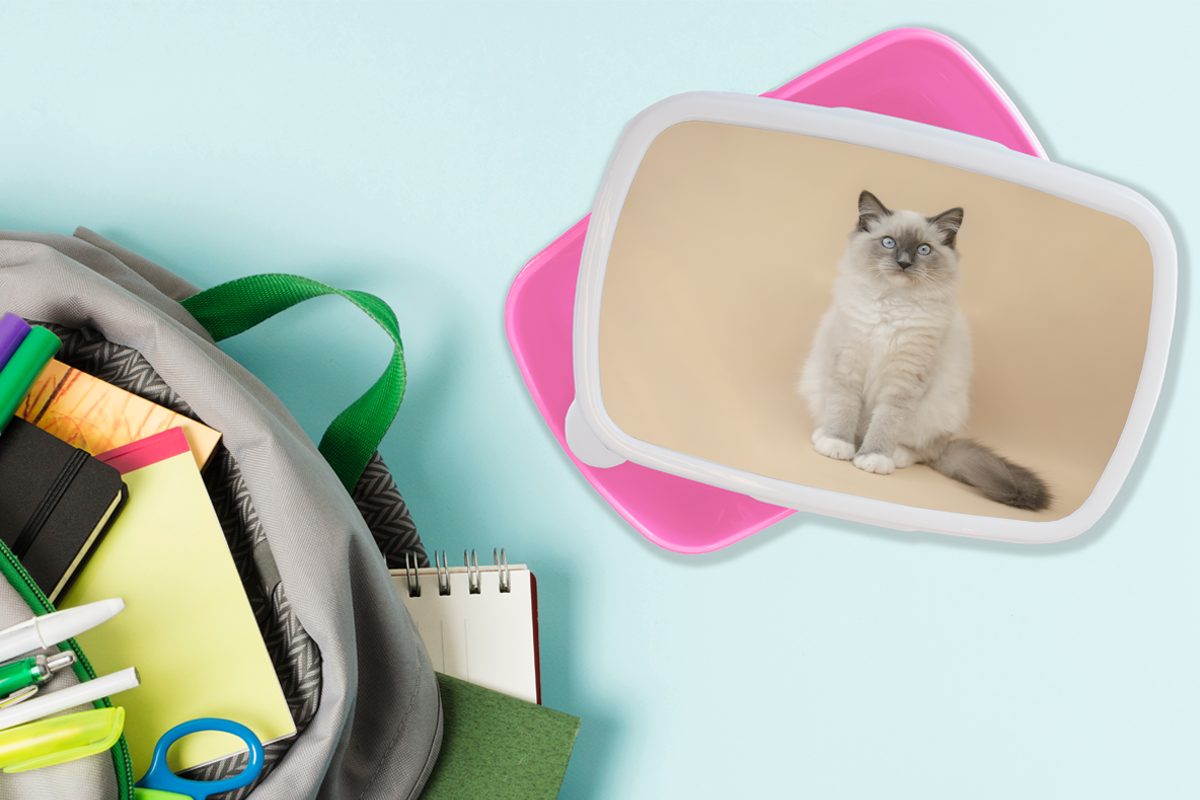 Kunststoff, Lunchbox Kinder, Erwachsene, Kinder Jungen Mädchen, - - Mädchen - Porträt - MuchoWow - rosa Kinder, Siamese - Brotdose Katze Kunststoff Snackbox, Brotbox (2-tlg), für