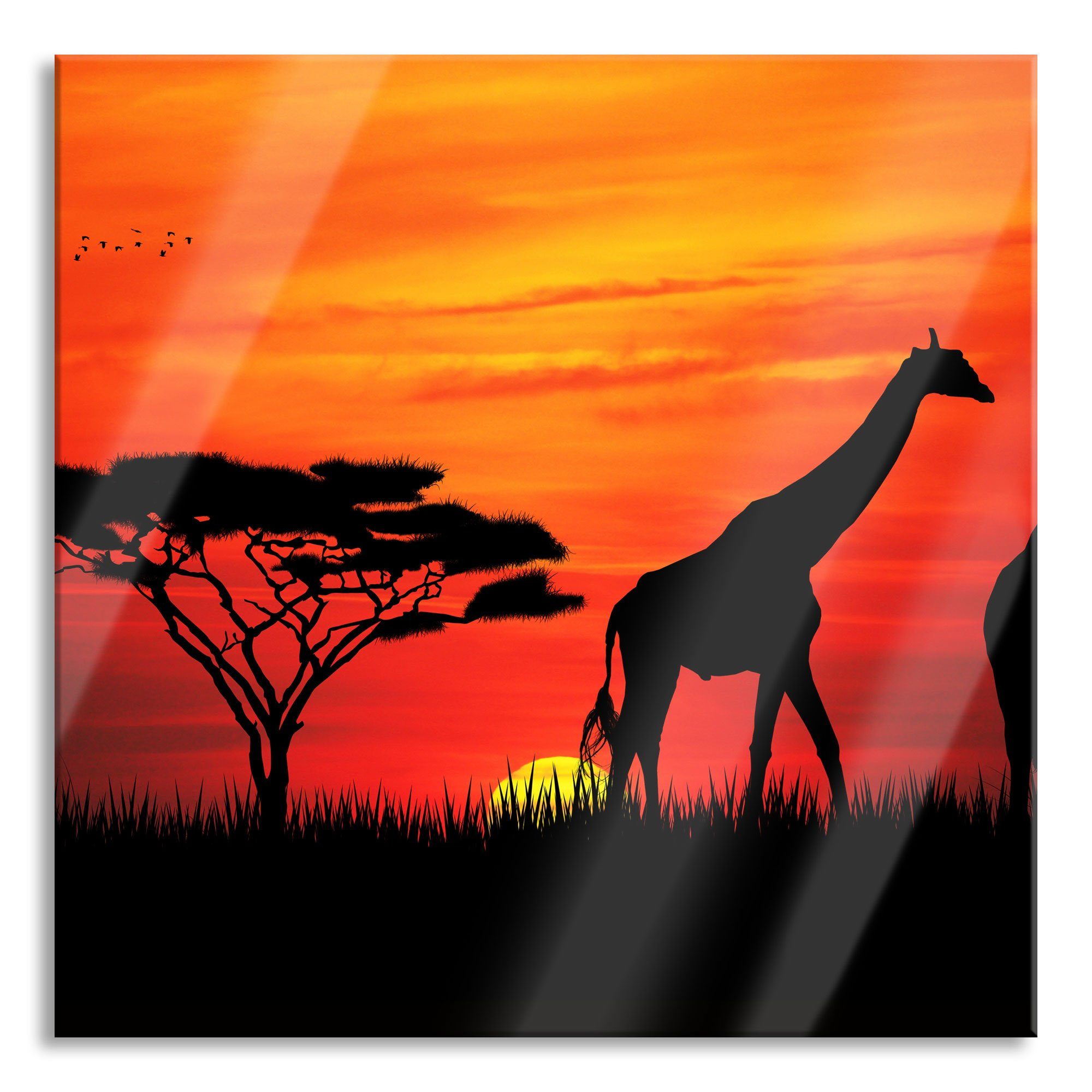 Giraffen Glasbild Aufhängungen Sonnenuntergang im inkl. Glasbild im Giraffen aus Pixxprint (1 St), Sonnenuntergang, und Afrika Echtglas, Afrika Abstandshalter