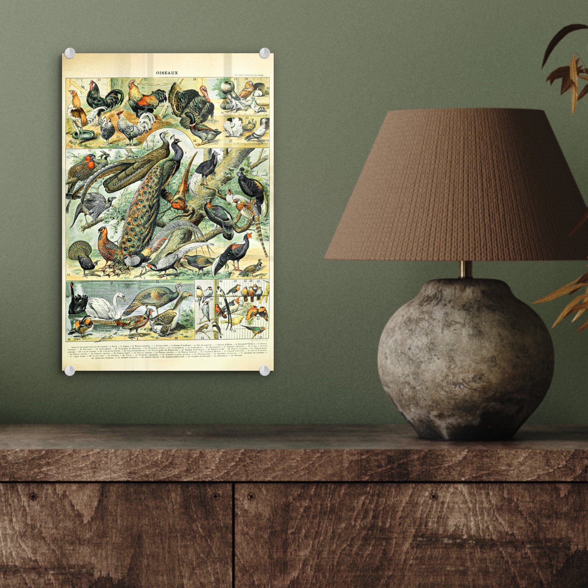 MuchoWow Acrylglasbild Tier - Vögel - (1 St), auf Foto Bilder Glas - Wandbild auf - Wanddekoration - Glas Jahrgang, Glasbilder