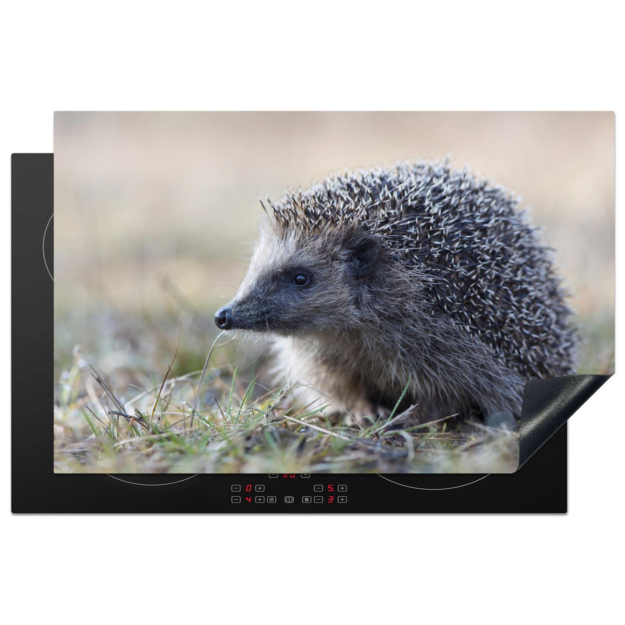 MuchoWow Herdblende-/Abdeckplatte Igel - Tier - Gras, Vinyl, (1 tlg), 81x52 cm, Induktionskochfeld Schutz für die küche, Ceranfeldabdeckung