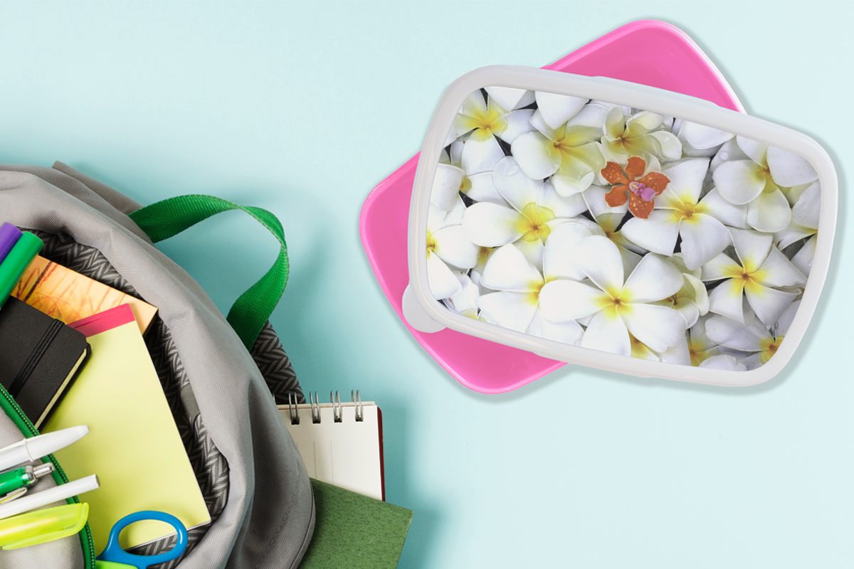 Plumeria-Blüten, Kunststoff, und Kunststoff Brotbox (2-tlg), Brotdose rosa Snackbox, aus Lunchbox Kinder, weißen gelben Mädchen, MuchoWow für Erwachsene, Muster