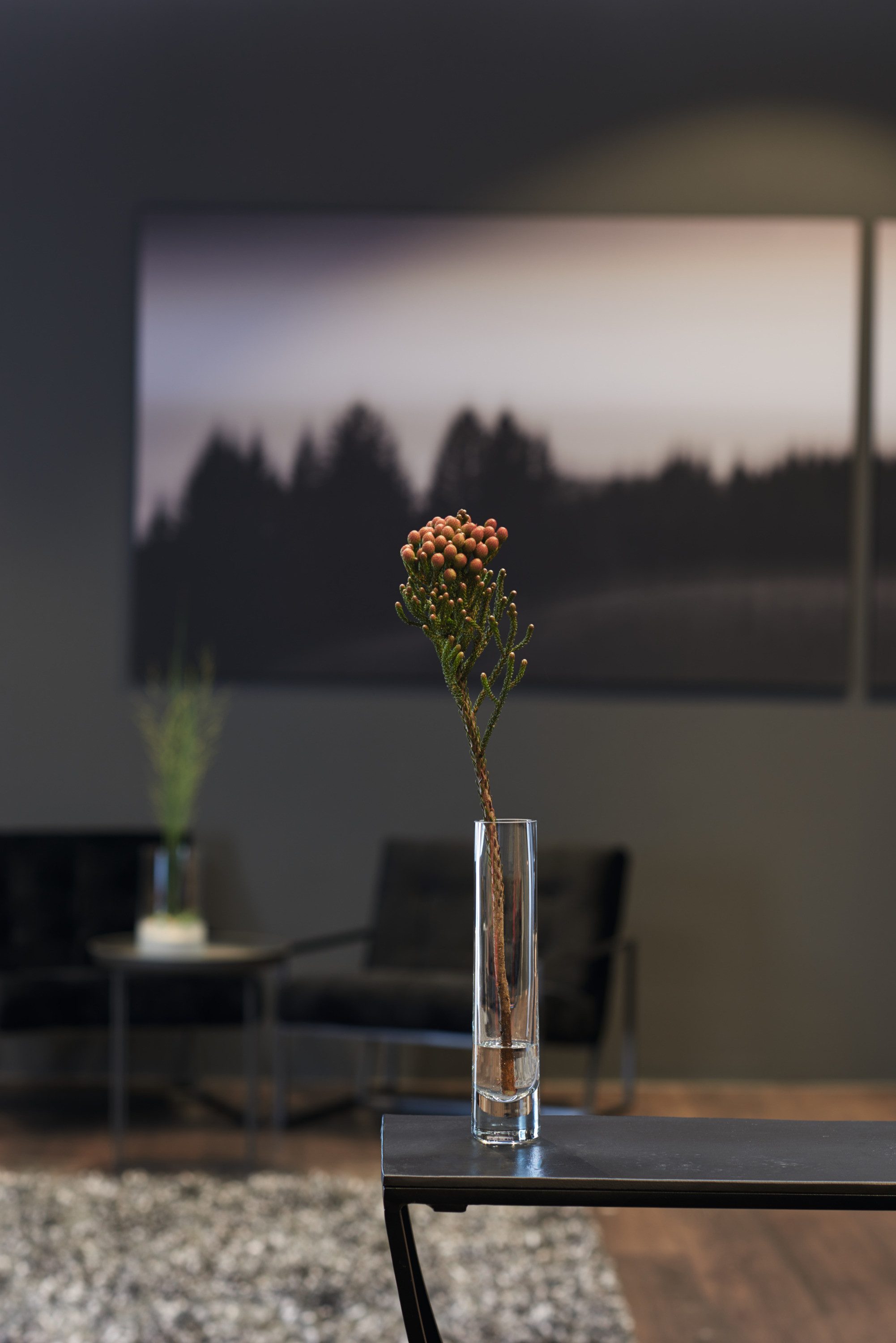 LEONARDO Dekovase "NOVARA" günstig online kaufen