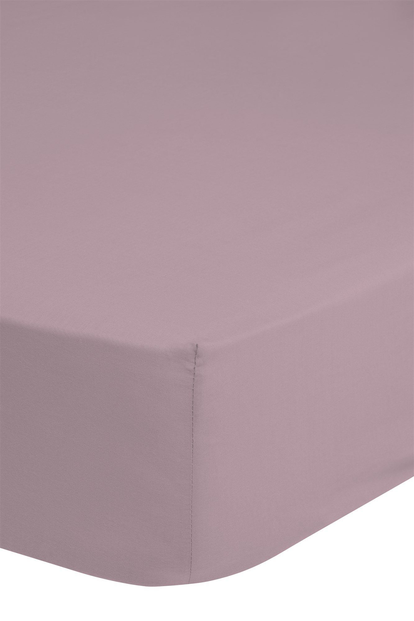 good morning Spannbettlaken Renforcé Good Morning günstig online kaufen