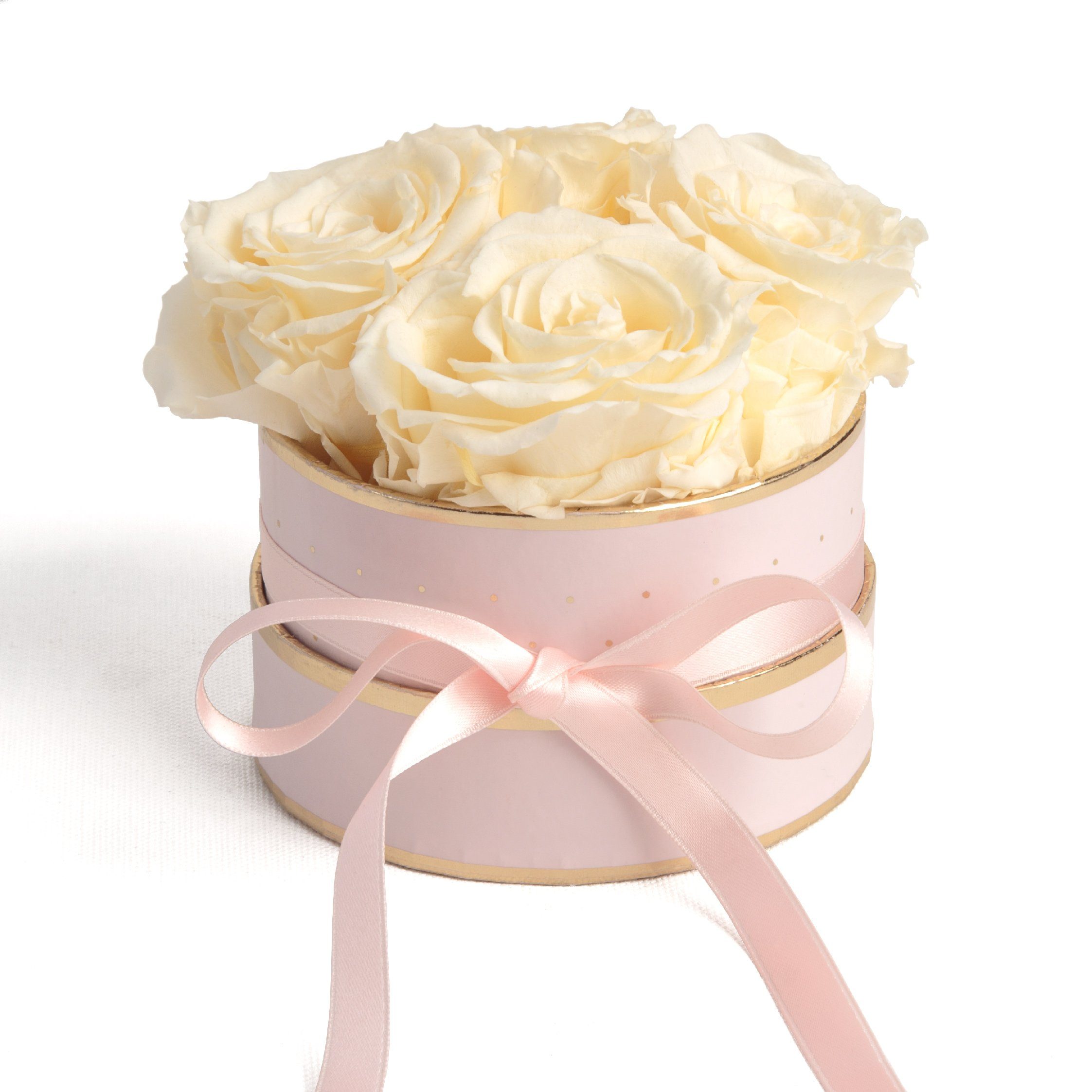 Kunstblume Infinity Rosenbox rosa rund 4 konservierte Rosen Geschenk für Frauen Rose, ROSEMARIE SCHULZ Heidelberg, Höhe 10 cm, echte konservierte Rosen Champagner