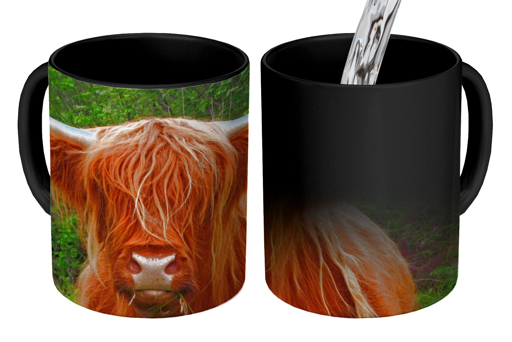 Kaffeetassen, MuchoWow Gras, Tasse - Zaubertasse, Geschenk Schottischer - Highlander Farbwechsel, Teetasse, Keramik, Kuh