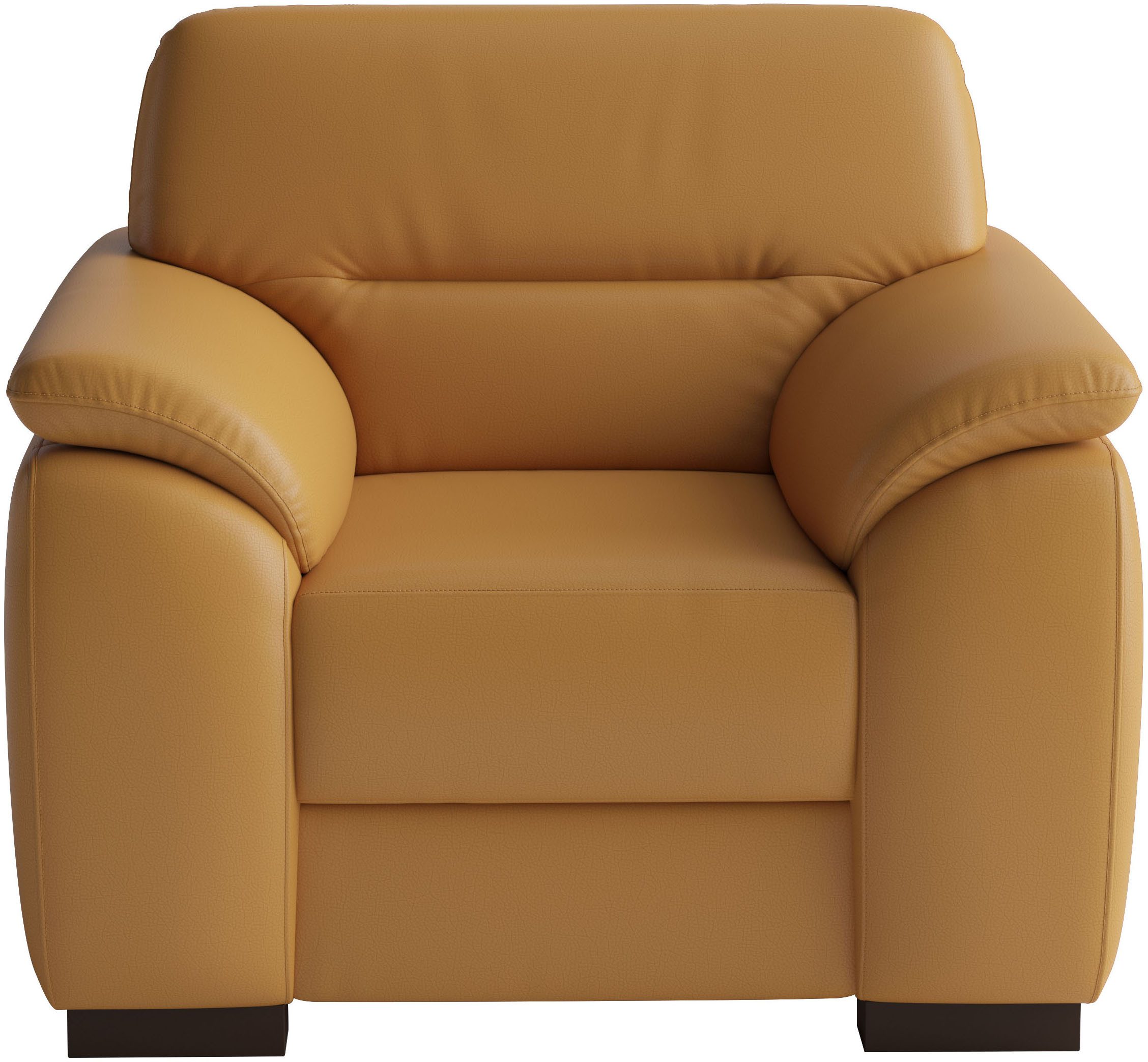 sit&more Sessel, mit Federkern