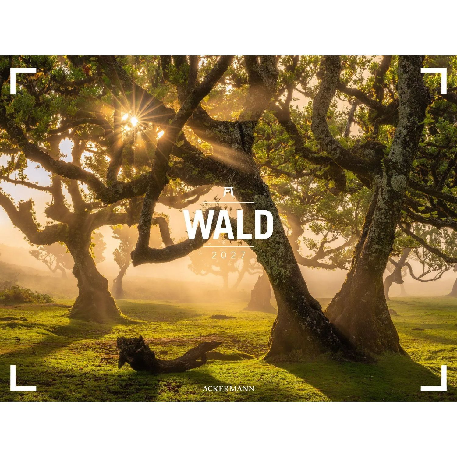 Ackermann Wandkalender Wald Gallery Kalender 2027