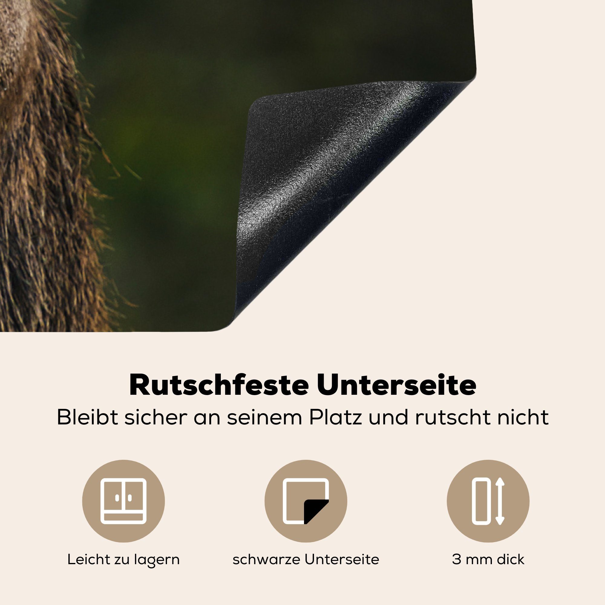 Arbeitsplatte 78x78 Herdblende-/Abdeckplatte cm, Natur, Ceranfeldabdeckung, tlg), - Geweih für küche Hirsch Vinyl, MuchoWow - (1