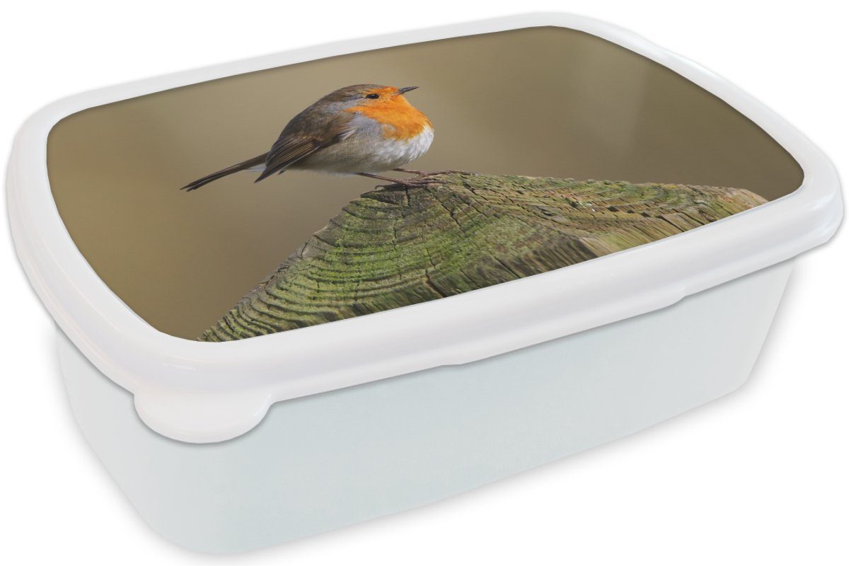 und Brotbox Lunchbox für Jungs Rotkehlchen Kinder - weiß und Mädchen Erwachsene, MuchoWow Brotdose, (2-tlg), Kunststoff, für Vogel Holz, -