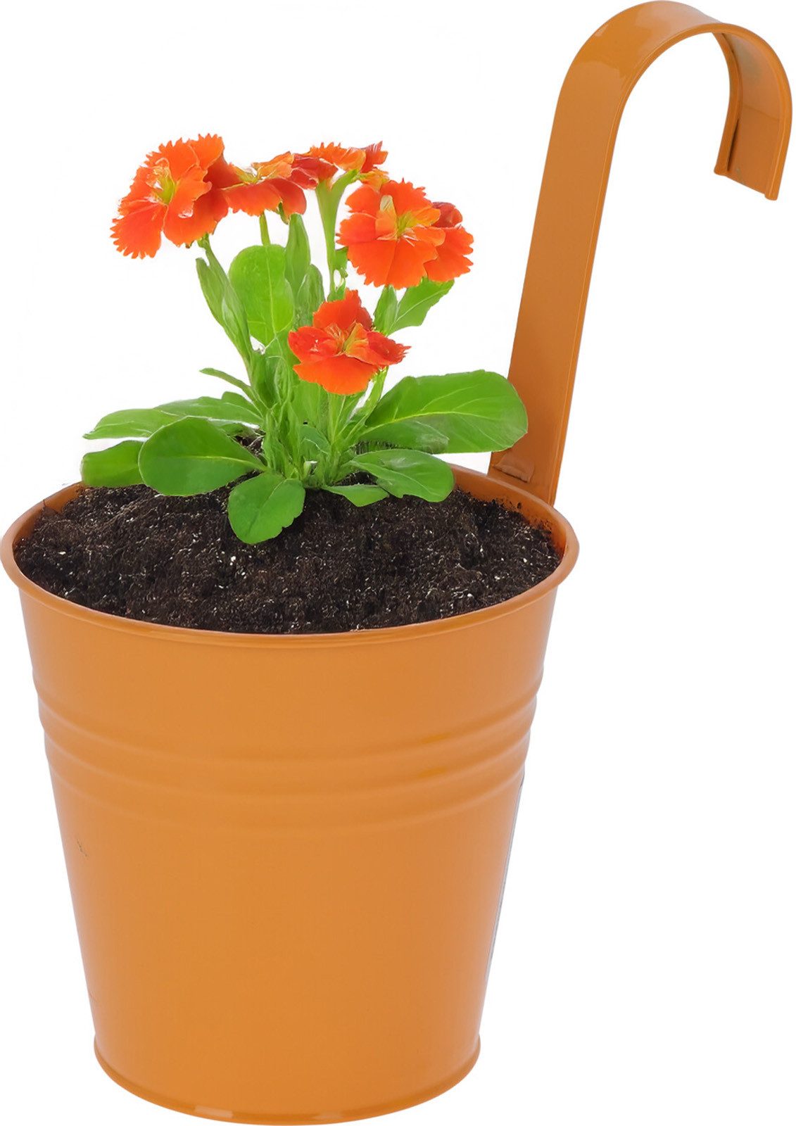 Koopman Blumentopf Pflanztopf Blumentopf Übertopf Pflanzkübel günstig online kaufen